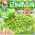 紀州・和歌山産 ”南高梅 青梅” ちょっと訳あり 4L 約10kg【予約 5月中旬以降】 送料無料