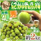 ショッピング梅 紀州・和歌山産 ”南高梅 青梅” 秀品 4L 約2kg【予約 5月中旬以降】 送料無料