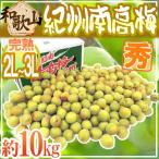 ショッピング梅 紀州・和歌山産 ”南高梅 完熟” 秀品 2L〜3L 約10kg【予約 6月以降】 送料無料