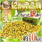 ショッピング梅 紀州・和歌山産 ”南高梅 完熟” 3L 約10kg ちょっと訳あり【予約 6月以降】 送料無料