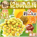 ショッピング梅 紀州・和歌山産 ”南高梅 完熟” 秀品 2L〜3L 約2kg【予約 6月以降】 送料無料