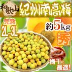 紀州・和歌山産 ”南高梅 完熟” 秀品 2L〜3L 約5kg【予約 6月以降】 送料無料