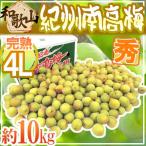 ショッピング中元 紀州・和歌山産 ”南高梅 完熟” 秀品 4L 約10kg【予約 6月以降】 送料無料