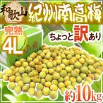 ショッピング梅干し 紀州・和歌山産 ”南高梅 完熟” 4L 約10kg ちょっと訳あり【予約 6月以降】 送料無料