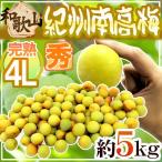 ショッピングkg 紀州・和歌山産 ”南高梅 完熟” 秀品 4L 約5kg【予約 6月以降】 送料無料