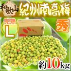 紀州・和歌山産 ”南高梅 完熟” 秀品 L 約10kg【予約 6月以降】 送料無料