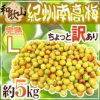 ショッピング梅干し 紀州・和歌山産 ”南高梅 完熟” L 約5kg ちょっと訳あり【予約 6月以降】 送料無料