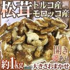 トルコ・モロッコ産 ”松茸” 訳あり 約1kg 開き 大きさおまかせ【予約 11月以降】 送料無料