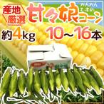 ショッピングとうもろこし ”甘々娘（かんかんむすめ）コーン” 約4kg 10〜16本 フルーツコーン 産地厳選【予約 5月下旬以降】