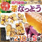  Kagawa префектура .. золотой час ~ клубень ....~ примерно 210g×{5 пакет } Takamatsu восток ... еда клубень ферментированные бобы [ предварительный заказ 11 месяц после ] бесплатная доставка 