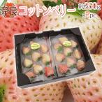  Nara префектура производство ~ белый клубника хлопок Berry ~ 2pc(1pc на 9~15 шарик передний и задний (до и после) примерно 250g)[ предварительный заказ 1 месяц последняя декада после ] бесплатная доставка 
