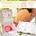  Nara префектура производство ~ premium белый клубника . снег клубника ~ 5L размер 6 шарик [ предварительный заказ 1 конец месяца после ] бесплатная доставка 