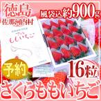  Tokushima префектура .. Kawauchi производство ~ Sakura .. клубника ~ очень большой 16 шарик несессер [ предварительный заказ 12 месяц после ] бесплатная доставка 