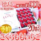  Tokushima префектура .. Kawauchi производство ~ Sakura .. клубника ~ супер крупный 20 шарик несессер [ предварительный заказ 12 месяц после ] бесплатная доставка 
