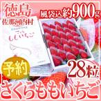  Tokushima префектура .. Kawauchi производство ~ Sakura .. клубника ~ 28 шарик несессер [ предварительный заказ 12 месяц после ] бесплатная доставка 