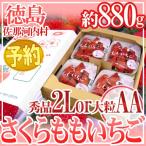 徳島県 ”佐那河内産 さくらももいちご” 秀品2L or 大粒AA 220g×4pc【予約 12月以降】 送料無料