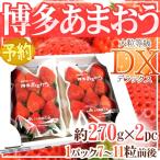 福岡産 博多 ”あまおういちご” 等級DX（デラックス） 1箱 2パック入り（1パック約270g）【予約 12月以降】 送料無料