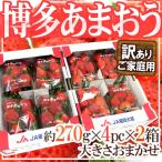  Fukuoka производство Hakata ~.... клубника ~ есть перевод примерно 270g×4 упаковка ×{2 коробка }[ предварительный заказ 12 месяц после ] бесплатная доставка 