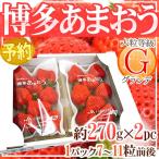  Fukuoka производство Hakata ~.... клубника ~ и т.п. класс G( grande ) 1 коробка 2 упаковка ввод (1 упаковка примерно 270g)[ предварительный заказ 12 месяц после ] бесплатная доставка 