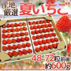 ”夏いちご” 48〜72粒前後 約600g 産地厳選【予約 6月下旬以降】