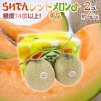 メロン 北海道 赤肉メロン ”らいで