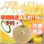  дыня [ скорейший отправка * самый ..] Hokkaido ~.. дыня ~ вместе .* хорошая вещь . максимум .1 шар примерно 1.6kg специальный несессер [ предварительный заказ 5 конец месяца после ] бесплатная доставка 