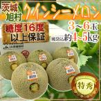 ショッピングメロン メロン JA茨城旭村 ”クインシーメロン” 特秀品 3〜6玉 風袋込約4〜5kg【予約 5月末以降】 送料無料