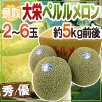 メロン 鳥取県 ”大栄ペルルメロン” 秀/優品 2〜6玉 約5kg【予約 6月下旬以降】 送料無料