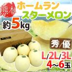 ショッピングホームスター メロン 熊本県 ”ホームランスターメロン” 秀/優品 L/2L/3Lサイズ 4〜6玉 約5kg【予約 4月以降】 送料無料