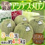 メロン ”アンデスメロン” 訳あり 3〜6玉 風袋込約4〜5kg 産地厳選【予約 5月末以降】 送料無料