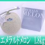 メロン 高知県夜須産 ”エメラルドメロン” 大玉 約1.8kg 専用化粧箱入り【予約 11月以降】 送料無料