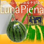 ショッピングスイカ 高知県夜須町 温室スイカ ”ルナピエナ” 大玉 約3.3kg 贈答用【予約 3月以降】 送料無料