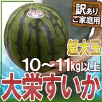 ショッピングスイカ 鳥取県 ”ジャンボ大栄すいか” 訳あり 特大5Lサイズ 約10〜11kg 大栄西瓜【予約 6月以降】 送料無料