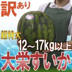 ショッピングスイカ 鳥取県 ”ジャンボ大栄すいか” 訳あり 特大6L 約12kg以上 大栄西瓜【予約 6月以降】 送料無料