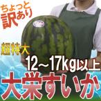 ショッピングワケあり 鳥取県 ”ジャンボ大栄すいか” ちょっと訳あり 特大6L 12kg以上 大栄西瓜【予約 6月以降】 送料無料