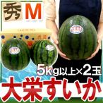  Tottori префектура ~ большой ....~ превосходящий товар примерно 5kg и больше M размер 2 шар большой . запад .[ предварительный заказ 6 месяц после ] бесплатная доставка 