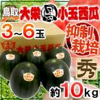 鳥取県 ”大栄黒小玉スイカ” 秀品 3〜6玉 約10kg すいか【予約 9月以降】 送料無料