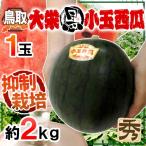 ”鳥取県 大栄黒小玉スイカ” 秀品 1玉 約2kg すいか【予約 9月以降】