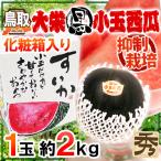 ”鳥取県 大栄黒小玉スイカ” 秀品 1玉 約2kg 化粧箱入り すいか【予約 9月以降】 送料無料