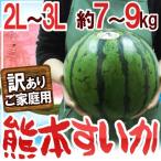 ショッピングスイカ 熊本県産 ”熊本すいか” 訳あり 2L〜3Lサイズ 1玉 約7kg〜9kg【予約 5月中旬以降】 送料無料