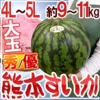 ショッピングスイカ 熊本県産 ”超大玉 熊本すいか” 秀・優品 4L〜5Lサイズ 1玉 約9kg〜11kg【予約 5月中旬以降】 送料無料