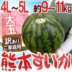 熊本県産 ”超大玉 熊本すいか” 訳あり 4L〜5Lサイズ 1玉 約9kg〜11kg【予約 4月以降】 送料無料