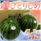  Kumamoto производство ~ маленький шар ........~ превосходящий * super 4L2 шар примерно 6kg[ предварительный заказ 4 месяц после ] бесплатная доставка 