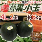 熊本県 黒皮すいか”夢黒小玉” 訳あり 4L 2玉 約6kg【予約 5月下旬以降】 送料無料