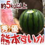 熊本県 ”熊本すいか” 秀/優品 約5kg以上 1玉【予約 5月中旬以降】 送料無料