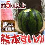 ショッピングスイカ 熊本県 ”熊本すいか” 訳あり 約5kg以上 1玉【予約 5月中旬以降】 送料無料