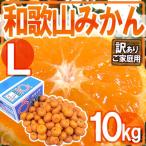 みかん ”和歌山みかん” 訳あり Lサイズ 約10kg【予約 11月末以降】 送料無料