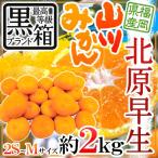  мандарин ~ Fukuoka JA.... после гора река мандарин север .. сырой ~ чёрный коробка и т.п. класс 2S/S/M размер примерно 2kg[ предварительный заказ 10 месяц средний . после ] бесплатная доставка 