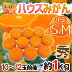 みかん ”佐賀産 JAからつ ハウスみかん” S/Mサイズ 10〜12玉前後 約1kg バラ詰め 温室みかん【予約 6月以降】 送料無料