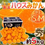 みかん 佐賀産 JAからつ ”ハウスみかん” S/Mサイズ 約5kg 温室みかん【予約 6月以降】 送料無料